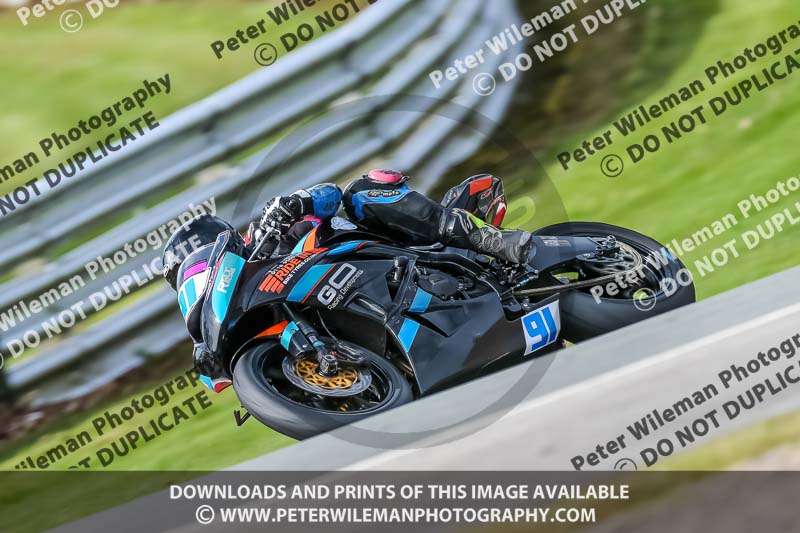 Oulton Park 21st March 2020;PJ Motorsport Photography 2020;anglesey;brands hatch;cadwell park;croft;donington park;enduro digital images;event digital images;eventdigitalimages;mallory;no limits;oulton park;peter wileman photography;racing digital images;silverstone;snetterton;trackday digital images;trackday photos;vmcc banbury run;welsh 2 day enduro